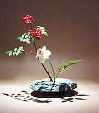scoli de ikebana romania