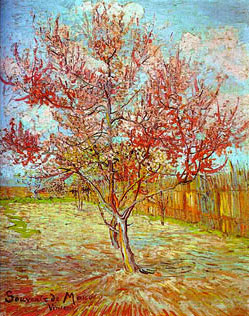 pictor celebru, arta, cultura, van gogh, absint, floarea soarelui, pictura celebra