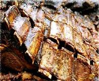 Mancaruri traditionale argentiniene retete