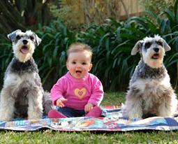 copiii si animalelle de companie, cum sa aleg un patruped daca am copii, animalelle si copiii copiii si animalelle de companie, cum sa aleg un patruped daca am copii, animalelle si copiii