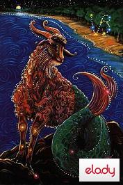zodia capricorn Horoscop 2009 Zodia Capricorn