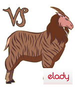 Horoscop 2010 zodia Capricorn