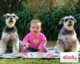 copiii si animalelle de companie, cum sa aleg un patruped daca am copii, animalelle si copiii