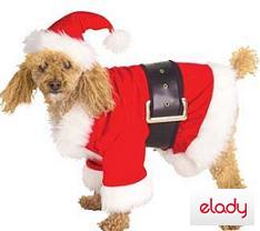 animalele de companie craciun brad pom