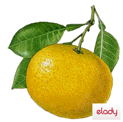 dieta cu grapefruit