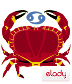 Horoscop 2007 zodia Rac