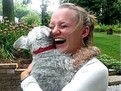 https://www.youtube.com/embed/rp03AorAWLY casey_catelusa_schnauzer_a_lesinat_cand_sia_revazut_stapana_dupa_doi_ani_400