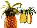 diete, dieta, dieta de slabire, diete pentru slabire, diete pentru slabit, diete de slabit, diete si cure, diete dezintoxicare, diete detoxifiere,cum slabesc cu varza, cum slabesc vedetele, diete si retete, sport de slabire, indicele de masa corporala, cura de slabire cu salata de varza, forum diete, forum dieta, discutii diete, discutie dieta, discutii cure de slabire, discutie cura de slabire, cure de slabire rapide, metabolism, metabolismul in slabire, dieta 1000 calorii, sport-diete, cure de slabire eficiente, cure de slabire pe cale naturala, retete de slabit, retete de slabire, dieta, slabirea sanatoasa, program, fitness,slabire,diete cure de slabire diete, dieta, dieta de slabire, diete pentru slabire, diete pentru slabit, diete de slabit, diete si cure, diete dezintoxicare, diete detoxifiere,cum slabesc cu varza, cum slabesc vedetele, diete si retete, sport de slabire, indicele de masa corporala, cura de slabire cu salata de varza, forum diete, forum dieta, discutii diete, discutie dieta, discutii cure de slabire, discutie cura de slabire, cure de slabire rapide, metabolism, metabolismul in slabire, dieta 1000 calorii, sport-diete, cure de slabire eficiente, cure de slabire pe cale naturala, retete de slabit, retete de slabire, dieta, slabirea sanatoasa, program, fitness,slabire,diete cure de slabire