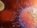 /photos/articole/se_poate_integra_informatia_genetica_a_vaccinului_arn_in_cromozomii_nostri_adn_400.jpg Vaccinul anti-Covid19 si tehnologia mRNA