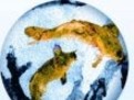 horoscop saptamanal zodia pesti