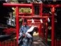 shinto, shintoism, preoti shinto, templu, kami, zeitati japoneze, japonia