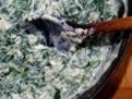 retete montignac Dovlecei umpluti cu spanac si ricotta