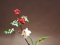 cum se realizeaza un aranjament ikebana cum se realizeaza un aranjament ikebana