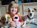 http://www.elady.ro/photos/articole/copiiisicateiii875847.jpg copiii si animalelle de companie