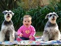 http://www.elady.ro/photos/articole/copilcuanimalute.jpg cum sa imi aleg un catel, cum sa imi aleg o pisica, ce trebuie sa stiu cand aleg un caine, pisca, animale de companie