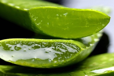 9 beneficii oferite de Aloe Vera pentru sanatate
