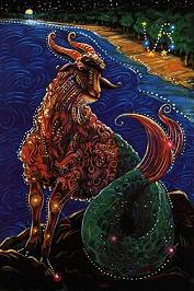 zodia capricorn Horoscop 2009 Zodia Capricorn