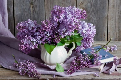 beneficiile_necunoscute_ale_florilor_de_liliac_400_01