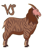 Horoscop 2010 zodia Capricorn