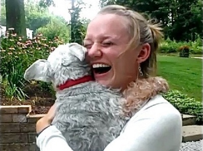 casey_catelusa_schnauzer_a_lesinat_cand_sia_revazut_stapana_dupa_doi_ani_400