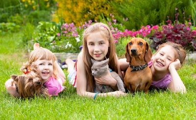 Copiii si animalele de casa,Copiii si animalele de casa, copiii si cateii, copiii si pisicile, de ce are nevoie copilul, copii cu caini, copii cu pisici