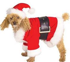 animalele de companie craciun brad pom