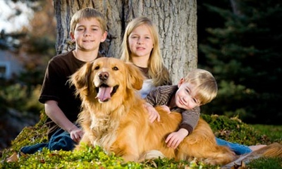 De ce copilul tau are nevoie de un animal de companie,copiii si animalele de companie, copiii si cainii, copiii si pisicile, catei si copii, pisicute si copii