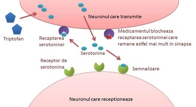 depresie, serotonina, cauzele aparitiei depresiei cum tratam depresia, tratament medicamentos depresie