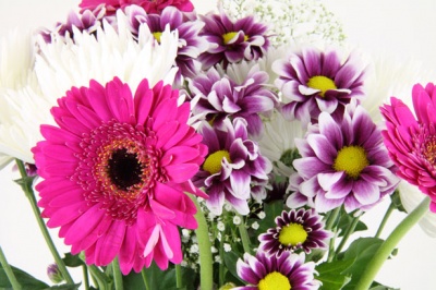 ingrijirea_florilor_in_vaza_400