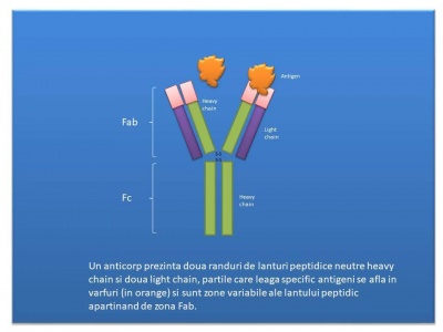 Sistemul imunitar vs Covid