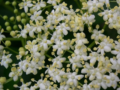 socul_400
