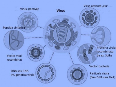 Vaccinul care ne salveaza de Covid-19