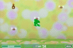 Fly Catcher